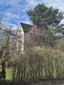 tomtefeste hus i Norge